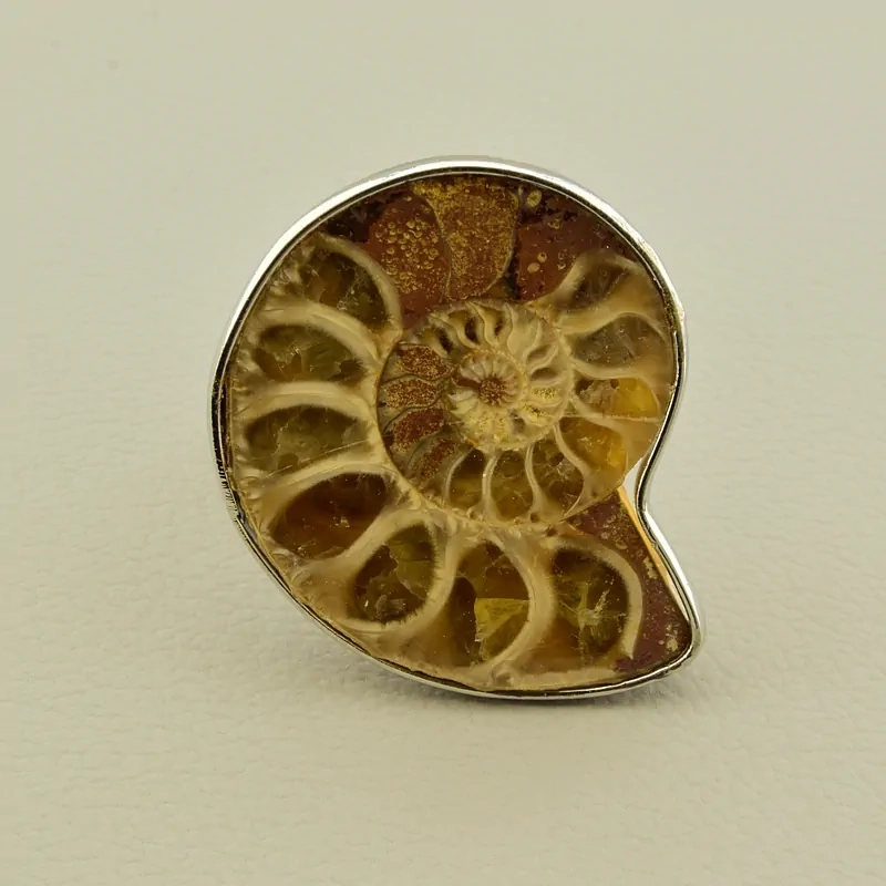 Амоніт: Доторкнись до давнини